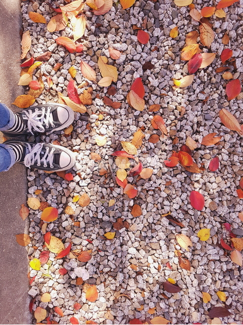 가을,낙엽,단풍낙엽,감성적,분위기,출발선,발자국,가을,계절,fall,autumn,season,gravel,자갈,dirt road,흙길,road,도로