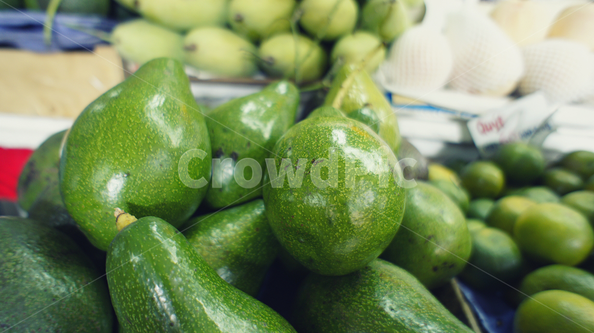 식물,plant,구아바,열대과일,베트남과일,음식,식재료,요리,food,cook,meal,dishes,food reserves,과일,열매,fruit