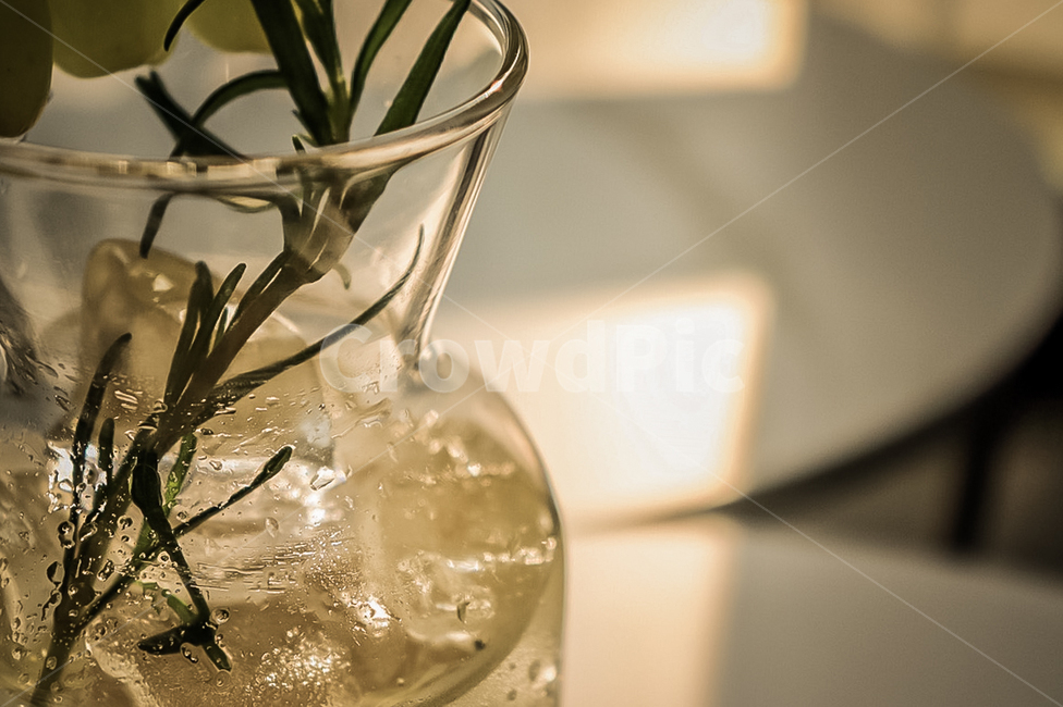 카페,창가,햇빛,스냅,감성,sensible,feeling,휴식,힐링,rest,healing,청포도,로즈마리,음료수,drink,beverage