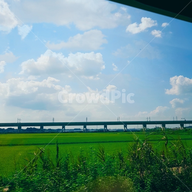 맑음,하늘,분위기,감성,느낌,자연,풍경,nature,landscape