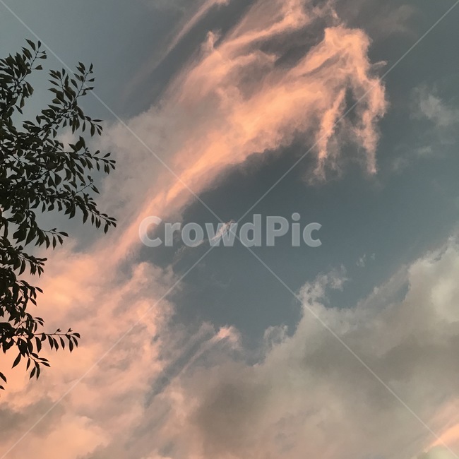 nature,자연,outdoors,옥외,azuresky,푸른하늘,sky,하늘,배경,백그라운드,background,구름,cloud,풍경,landscape,감성,감성사진,feeling,color,sensitivity,색깔,날씨,weather,색상,색채,pinky,나무,tree,가을,fall