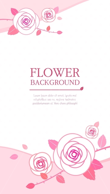 spring,petal,pattern,rose,flower,frame