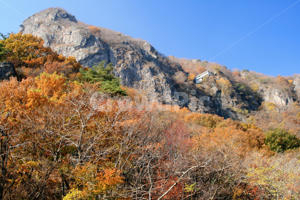 nature,자연,outdoors,옥외,가을,산,한국,추월산,바위,단풍