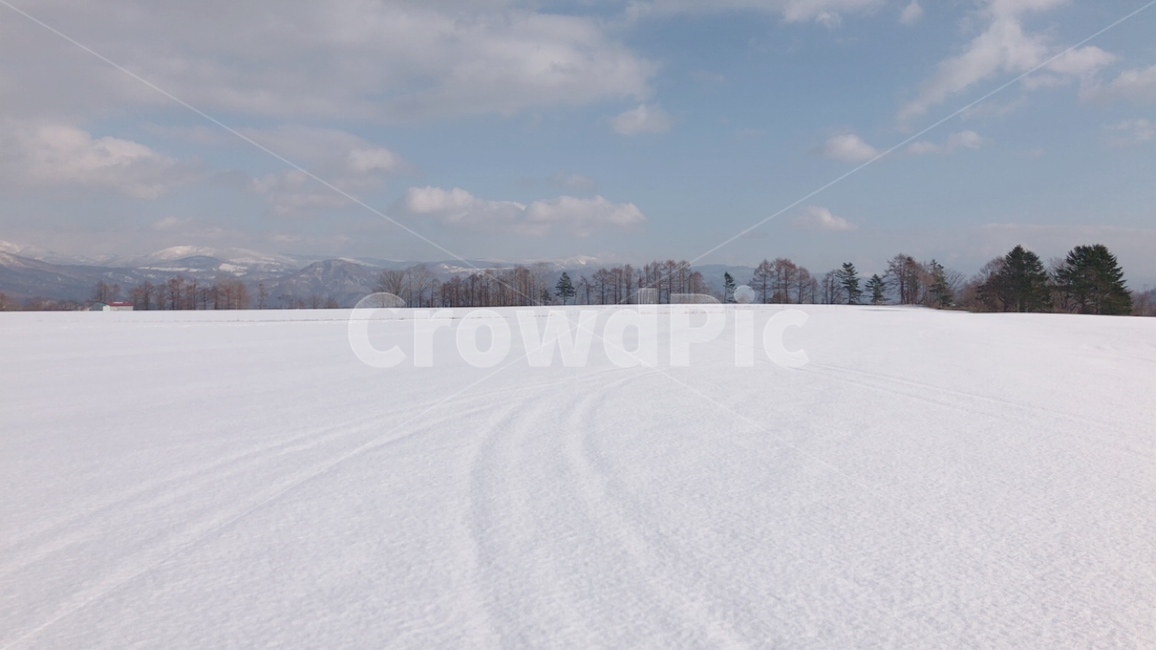 눈,설경,겨울,하늘,삿포로,흰색,풍경,발자국,언덕,snow,winter,white,겨울,계절,winter,season,자연,풍경,nature,landscape,outdoors,옥외