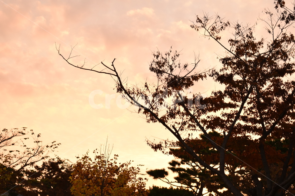 자연,노을,해,햇빛,하늘,자연,풍경,nature,landscape