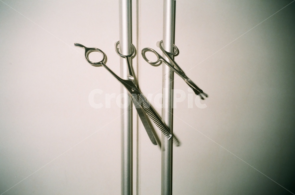 가위,미용가위,쪽가위,나란히,미니어쳐,사물,물건,오브젝트,thing,object,matter