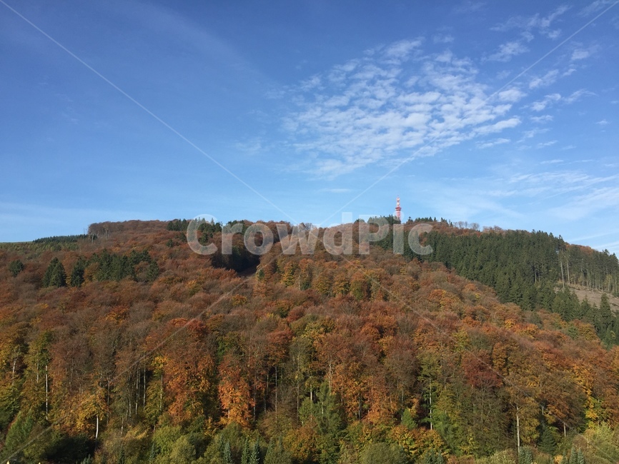 nature,자연,outdoors,옥외,독일,단풍,하늘,tree,나무