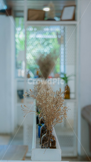 선반,plant,식물,shelf,분위기,감성
