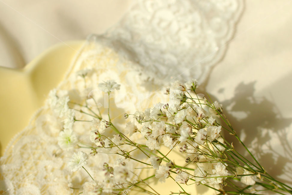 손,꽃,안개꽃,노랑,감성사진,그릇,노란색,하얀색,yellow,white,flower,flowers,레이스,접시,hand,꽃,flower