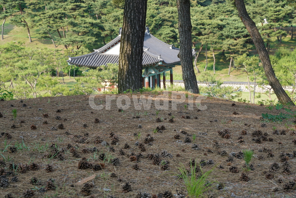 계백장군유적지,충장사,군사박물관,계백장군사당,계백장군제향,계백,논산