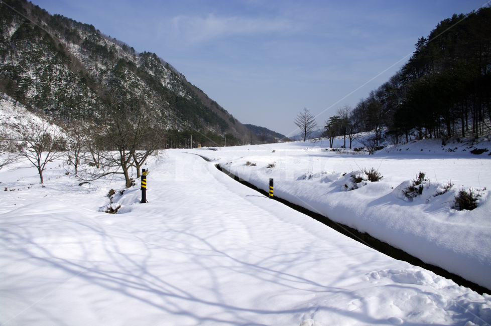 겨울,설경,풍경,산,눈,나무,겨울,계절,winter,season