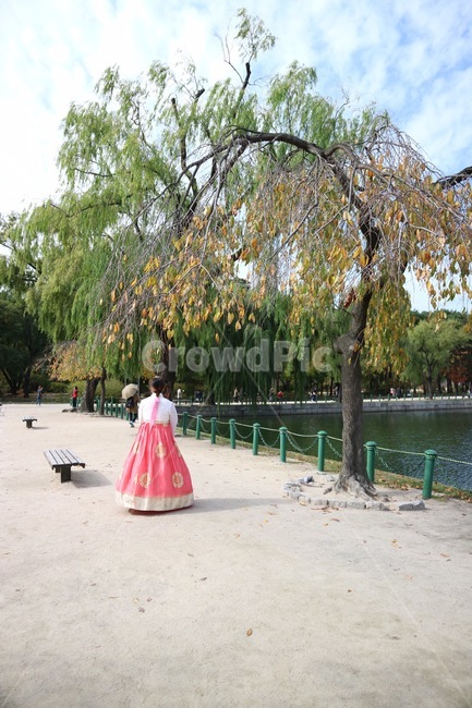 한복,한복입은여자,나무,뒷모습,자연배경,한복,한국전통의상,hanbok,korean traditional clothes