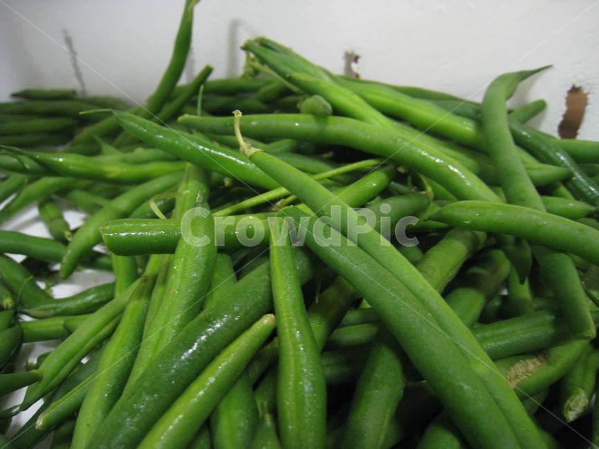 그린빈,호주채소,greenbean,콩깍지,가니쉬채소,껍질콩,이색채소