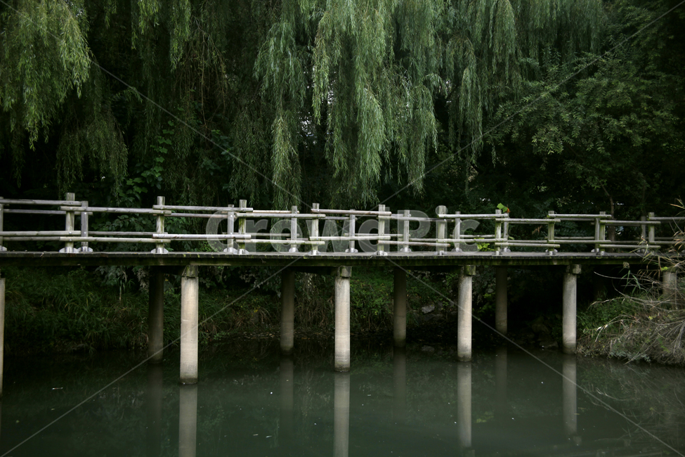 야외,공원,다리,물,강,숲,풀,나무,생태계,야생,자연,풍경,nature,landscape,water,waterfront,워터 프론트