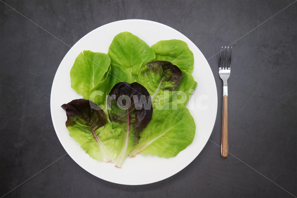 채식,채식주의자,야채,채소,식물,건강,샐러드,채소,야채,vegetables