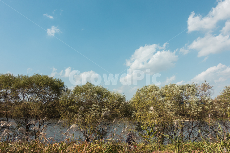 하늘,풍경,나무,자연,nature,sky,tree,snapshot,자연,풍경,nature,landscape,grass,잔디,plant,식물