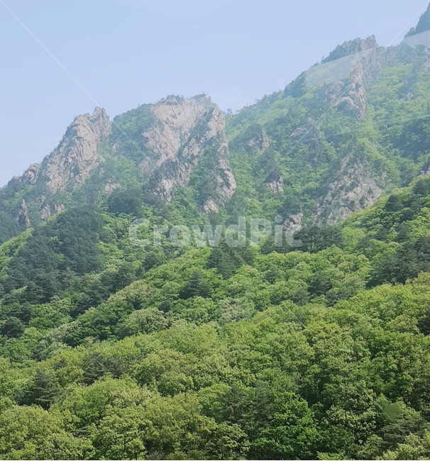 자연,nature,언덕,hill,산,mountain,cliff