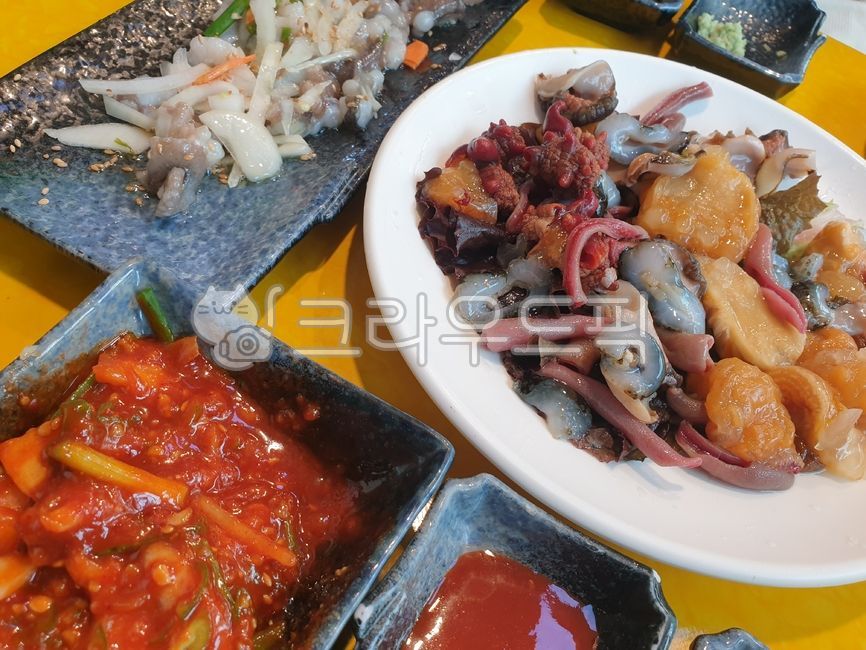 멍게, 해산물, 산낙지, 개불, 수산시장, 사진,이미지,일러스트,캘리그라피 - plusone작가