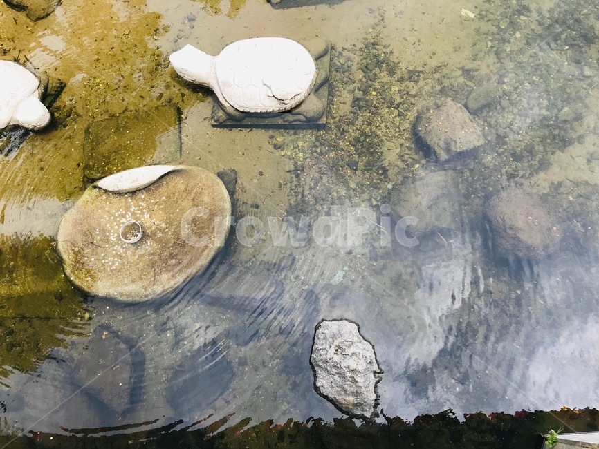 물풍경,계곡,물의정원,물결,동전,차분함