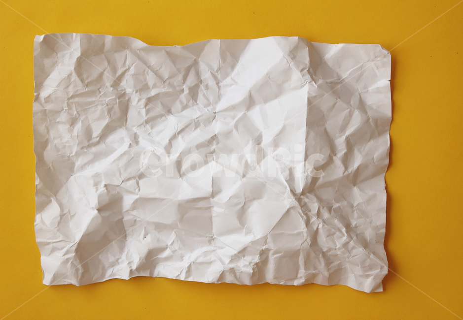 종이,구김,구겨진,흰색,노란색,노랑,blank,crumpled,crumpledpaper,empty,macro,nobody,object,old,paper,ripped,topview,vintage,white,yellow