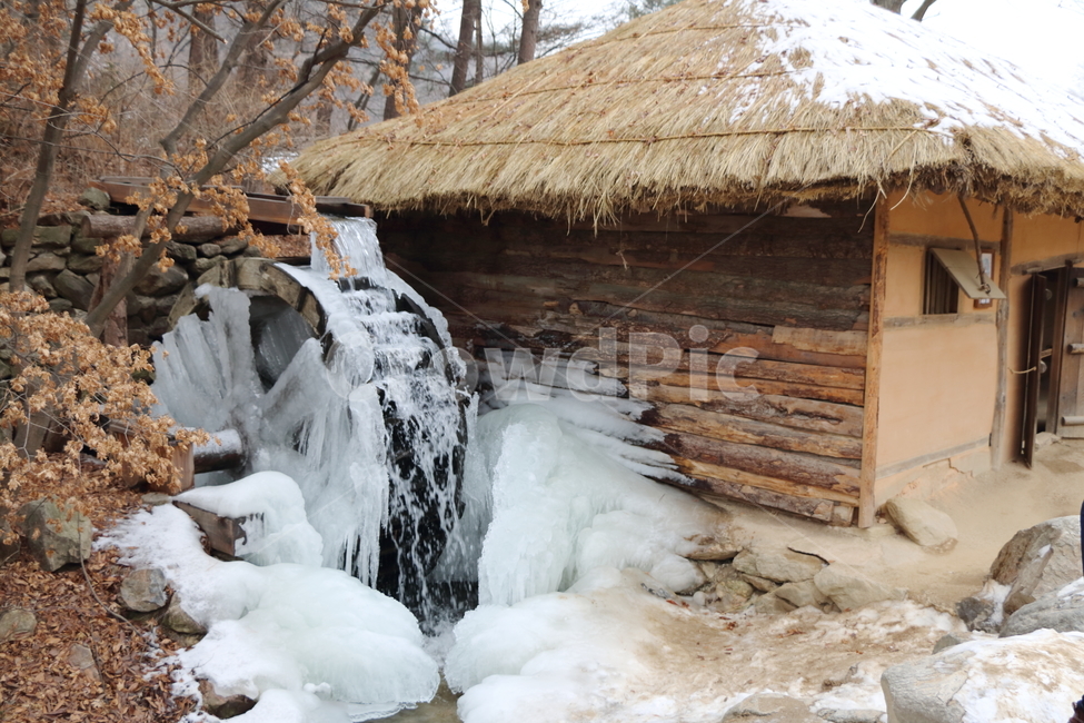 한국민속촌,겨울,얼어붙은물레방아,물레방아,눈,겨울,계절,winter,season,한국전통,한국문화,korean traditional,korean culture,건축물,건물외관,exterior,building,structure,architecture,construction