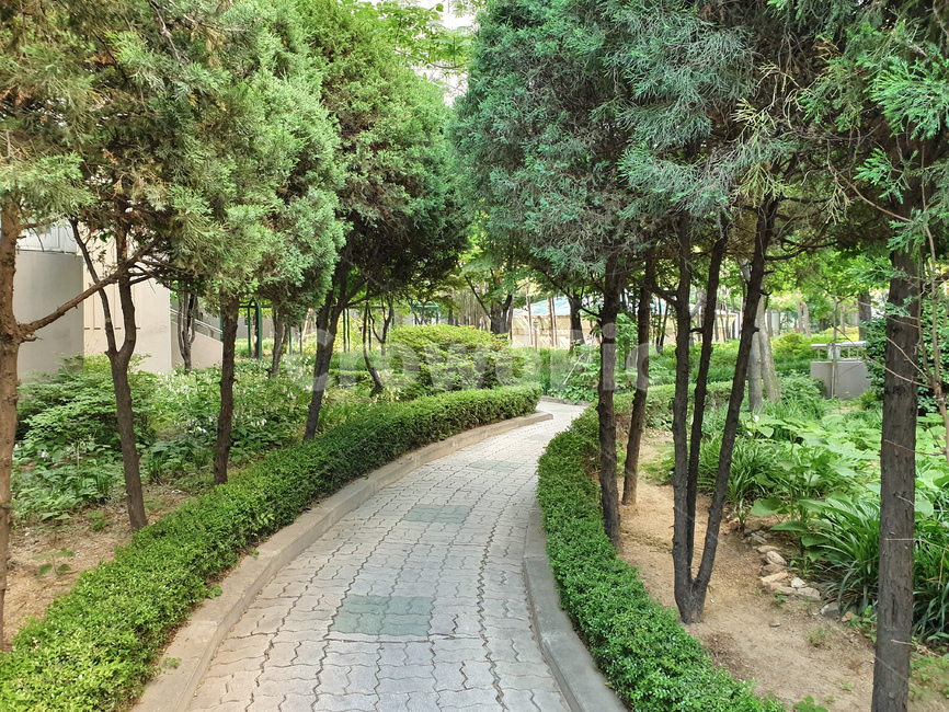 나무,도시,숲,길,서울,뷰,경치,tree,city,seoul,road,forest