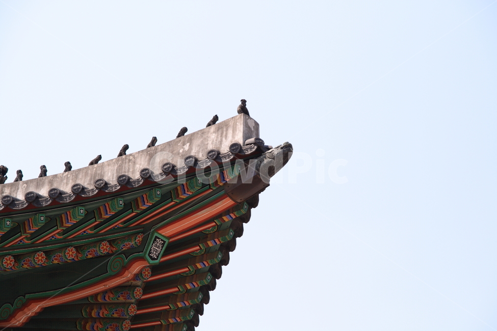 한국,민속,궁,덕수궁,한옥