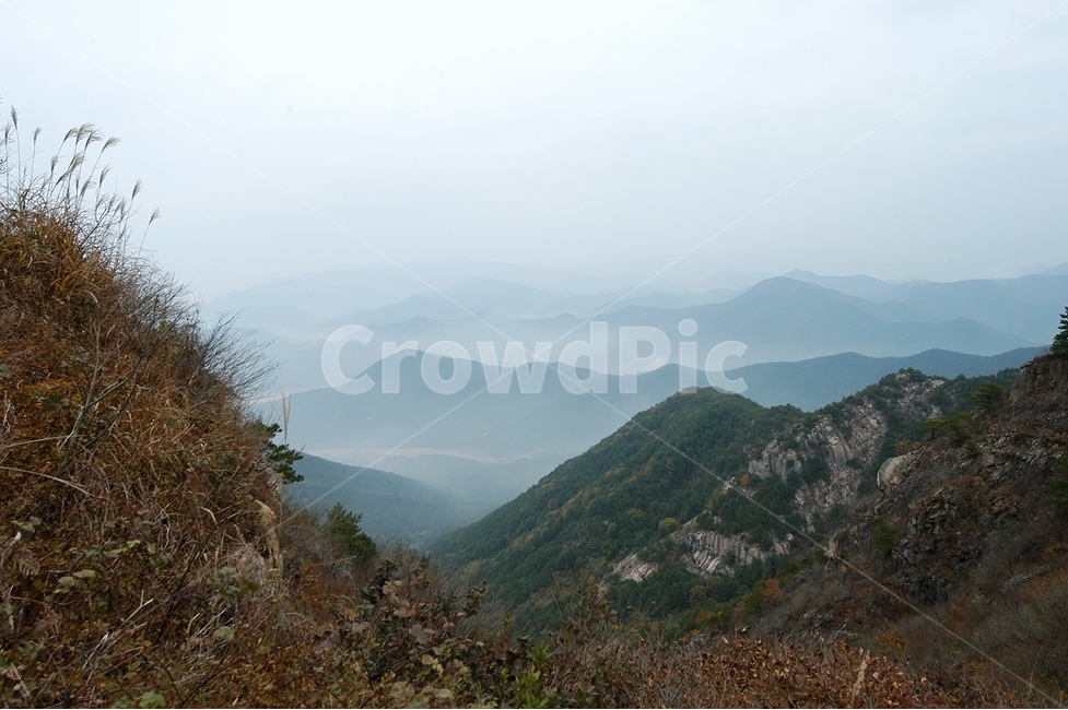 자연,산,억새,화왕산,구름,자연,풍경,nature,landscape,한국자연풍경,한국자연경관,korea nature landscape,outdoors,옥외,mountain