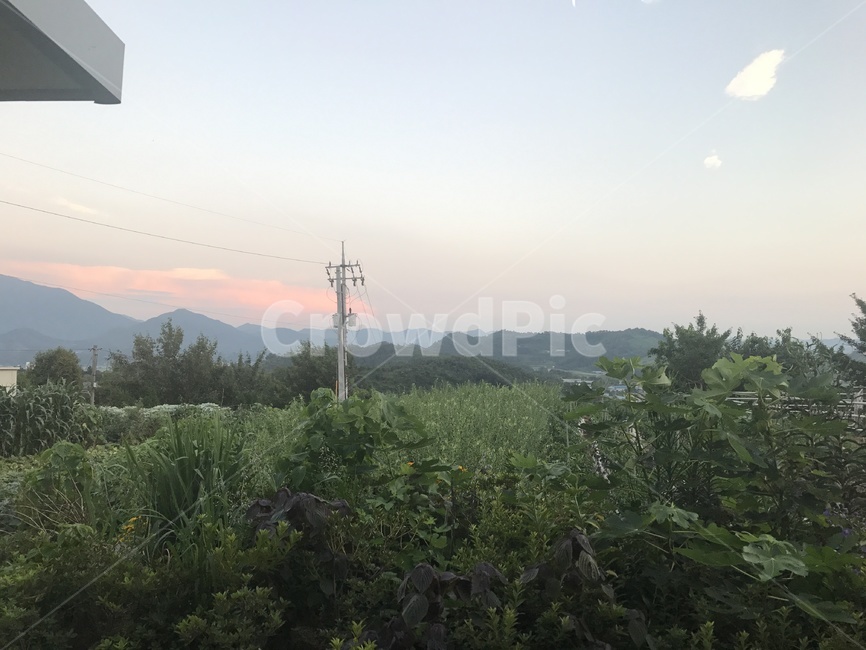 하늘,노을,여름,푸릇푸릇,맑은하늘,자연,풍경,nature,landscape