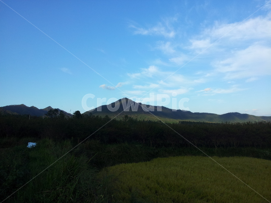 논,밭,저수지,하늘,산,색감