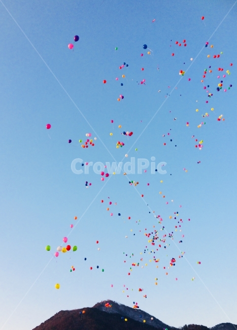 풍선,하늘,풍경,풍선날림,풍선들,이벤트,축제,행사,festival,carnival,event