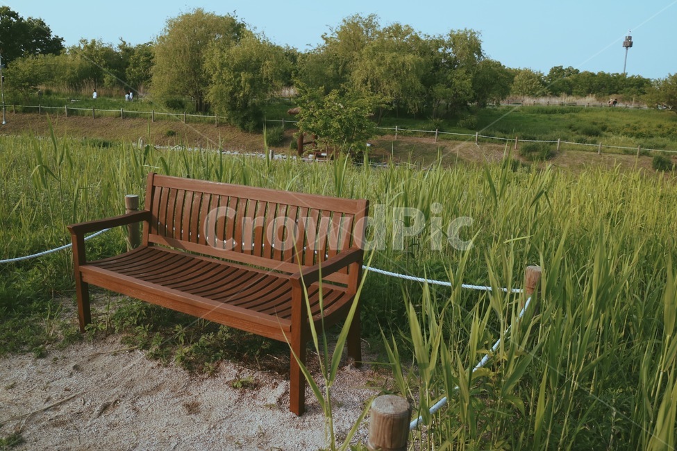 벤치,bench,잔디,의자,자연의자,초록빛