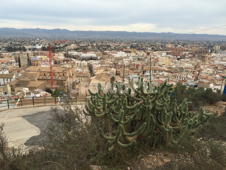 선인장,스페인,도시전경,감성,유럽,spain,cactus,landscape,cityscape,경치