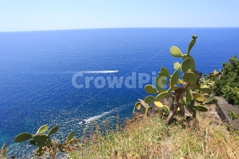 이태리,이탈리아,친퀘테레,유럽,바다,배,italy,cinqueterre,보트