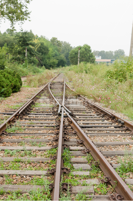 철길,기차길,폐역,교차길,가을,풍경,자연,풍경,nature,landscape,rail,레일,train track,기찻길,transportation,교통,railway,철도