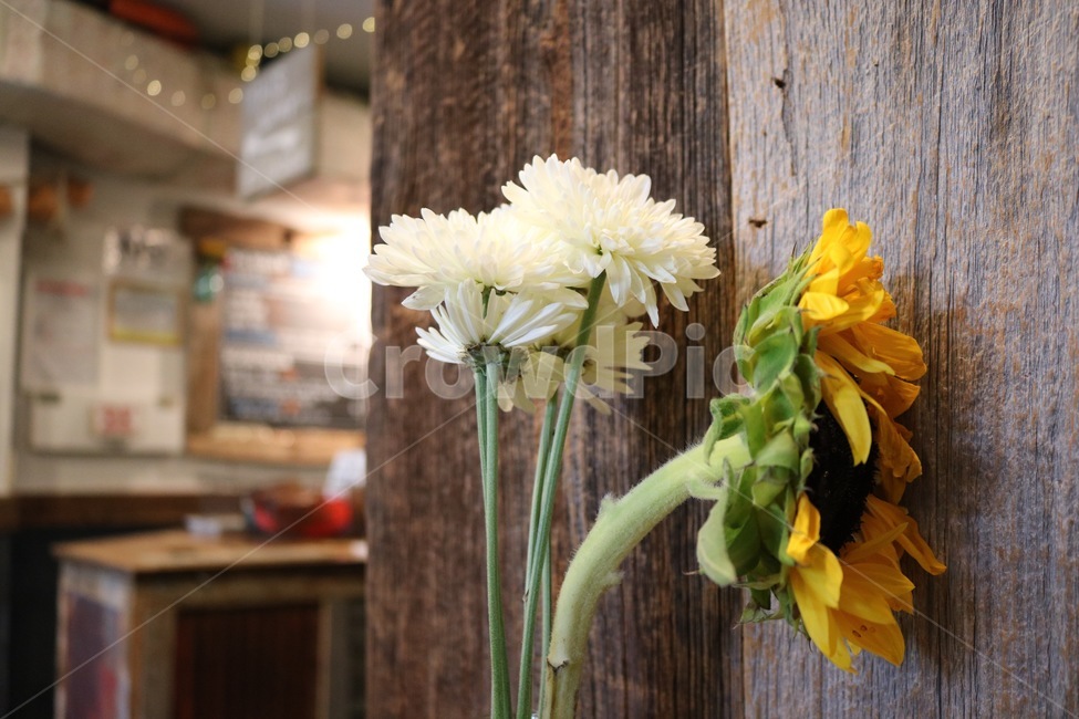 인테리어,나무,해바라기,꽃,식당,식물,자연,plants,nature,꽃,flower,인테리어,실내디자인,interior design