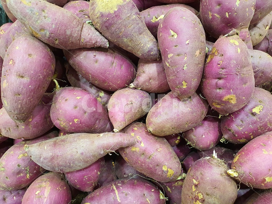 고구마,야채,가을,다이어트,농산물,식물,건강식품,건강,음식,채소,야채,vegetables