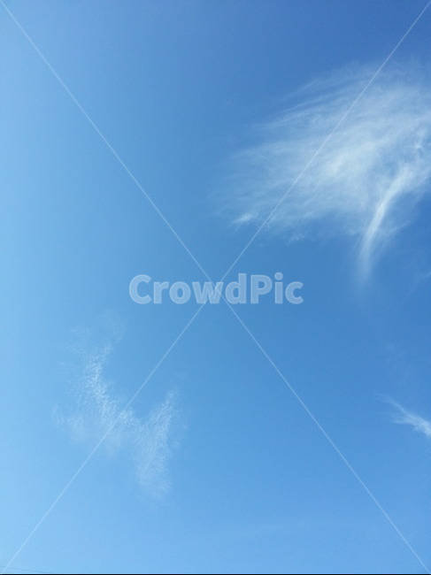 구름,하늘,파란하늘,특이한구름,뭉게구름,cloud,sky,special,bluesky,파란,하얀,날림구름