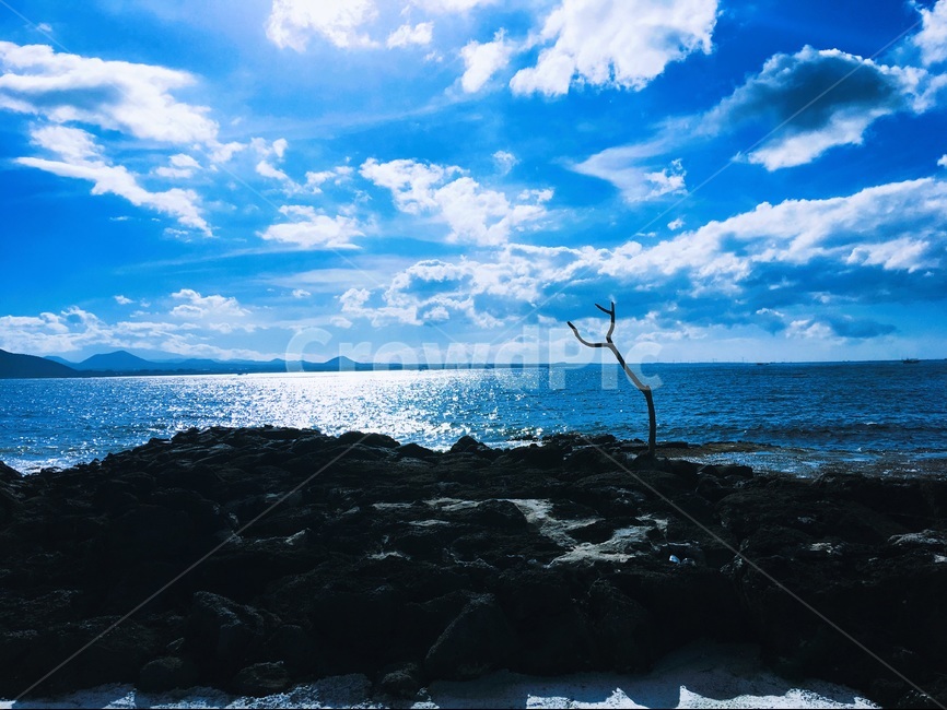 풍경,바다,우도,제주도,풍경사진,자연,풍경,nature,landscape,outdoors,옥외