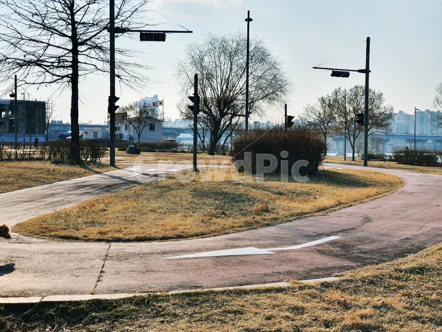 road,도로,한강,한강공원,길