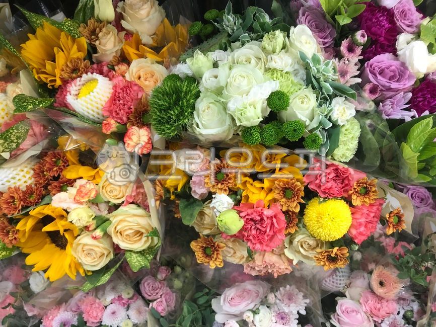 plant,bouquet,flower