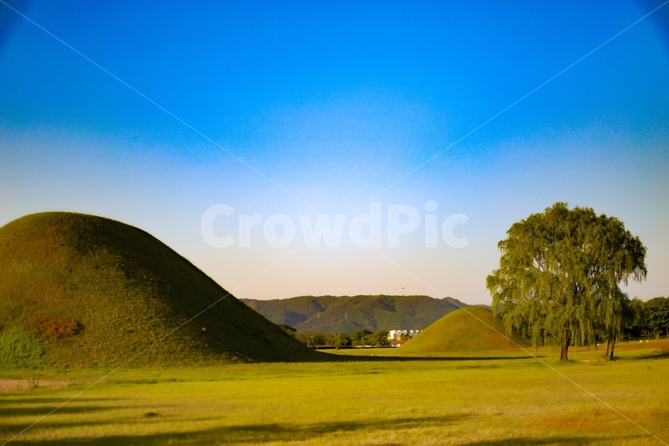 신라,경주,왕릉,유적지,관광지,랜드마크,landmark,tourist attraction,한국랜드마크,한국관광지,한국명소,korea landmark,korea tourist attraction