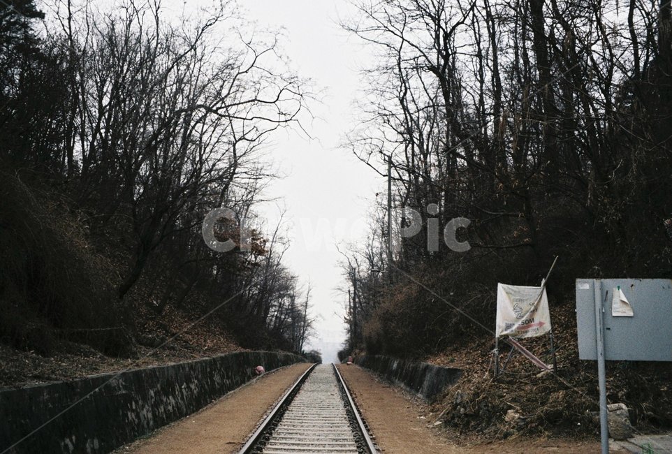 철도,나무,길,하늘,자연,자연,풍경,nature,landscape,교통,교통수단,traffic,transportation,train track,기찻길,railway,rail,레일