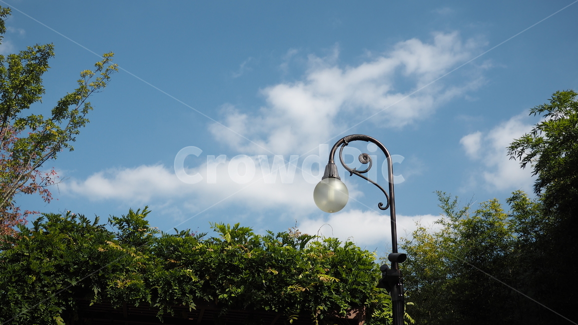 하늘,구름,가로등,나무,sky,cloud,tree,lamp,자연,풍경,nature,landscape