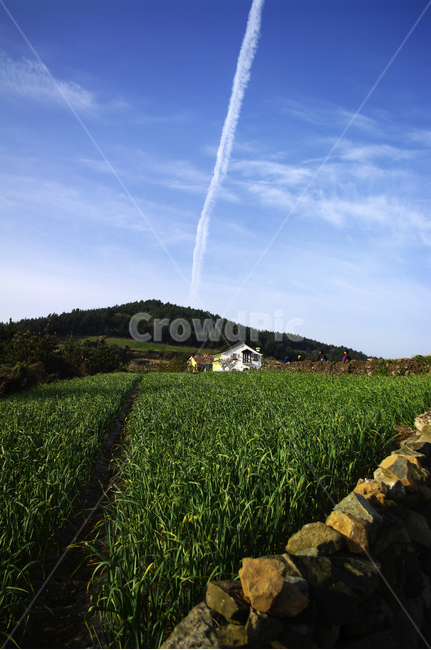 봄,spring,하늘,구름,풍경,마을,산,밭,시골,청산도,자연,풍경,nature,landscape,한국자연풍경,한국자연경관,korea nature landscape,outdoors,옥외,field,들,grassland,목초지