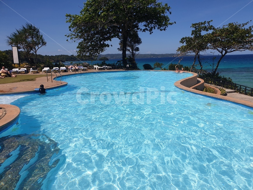 풀장,수영장,beach,pool,palmtree,야자수,맑은물