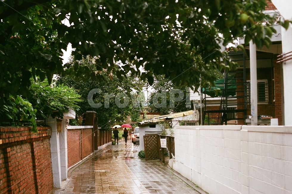 골목길,거리스냅,비오는거리,비오는날,필름카메라,아날로그,rain,filmphoto,filmcamera,street,거리,아련한,골목,raining,골목길,alley,비,비오는날,rain,rainy