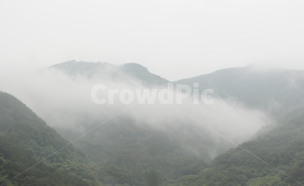 안개,산구름,산안개,산등성,구름
