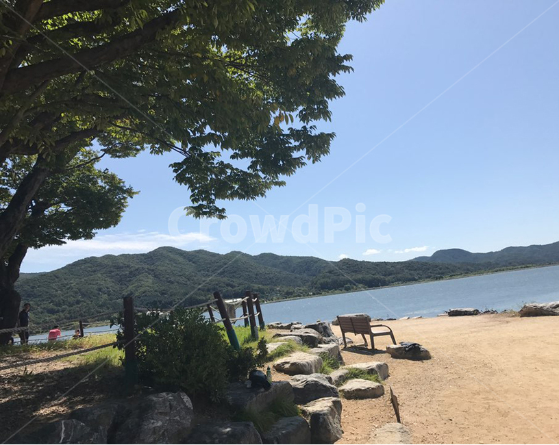 풍경,나무,강,산,가을
