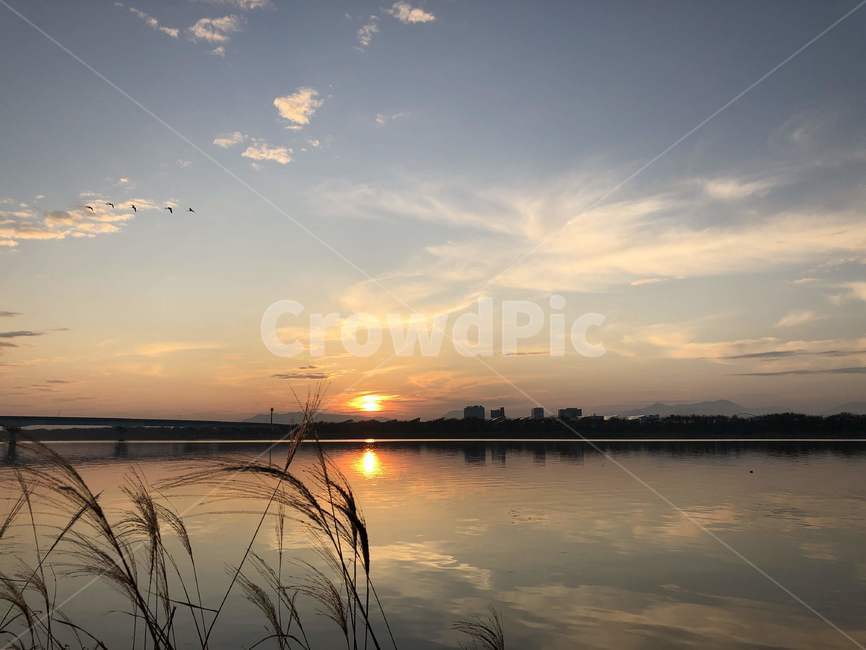 grass,plant,식물,lawn,잔디,갈대,갈대밭,가을,가을하늘,sky,autumn,flare,플레어,light,빛,sunlight,햇빛